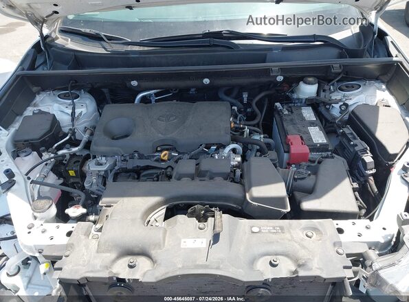 2T3A1RFV2RW479183 2024 TOYOTA RAV4 Белый Вид сзади