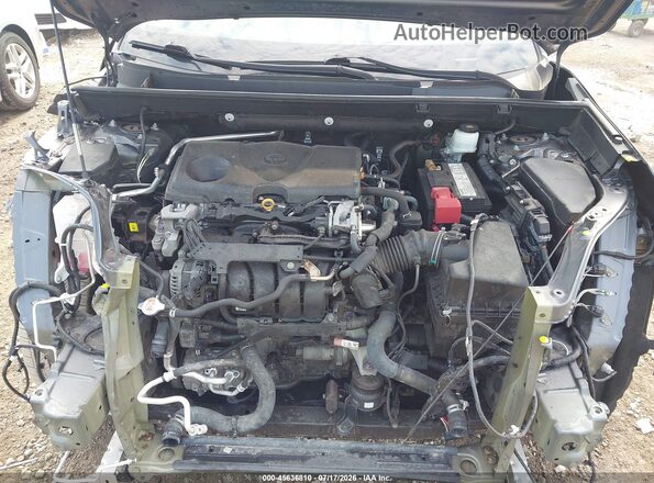 2T3A1RFV4KW076540 2019 TOYOTA RAV4 Gray Widok z tyłu
