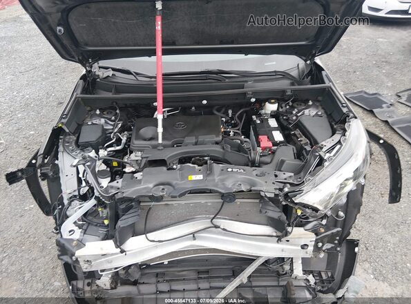 2T3A1RFV4RC405524 2024 TOYOTA RAV4 Gray Հետևի տեսք