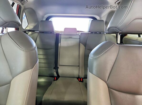 2T3A1RFV5KC027865 2019 TOYOTA RAV4 Red უკანა სავარძლების ხედი