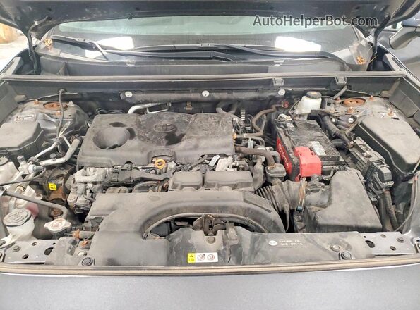 2T3B1RFVXMC178448 2021 TOYOTA RAV4 Gray Vista del compartimento del motor