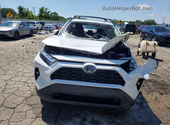 2T3B6RFV6RW047802 2024 TOYOTA RAV4 Белый Вид спереди