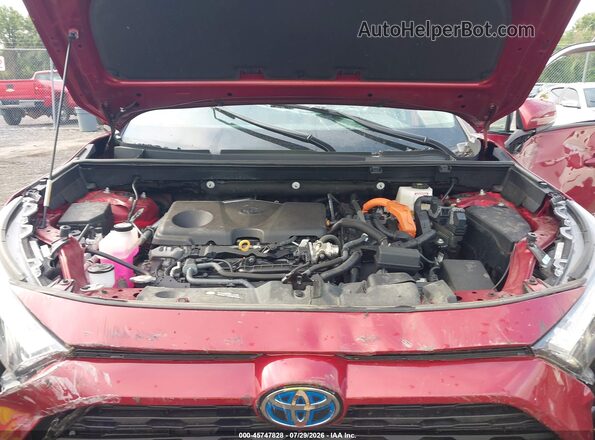 2T3B6RFV9RW057658 2024 TOYOTA RAV4 HYBRID Red Widok z tyłu