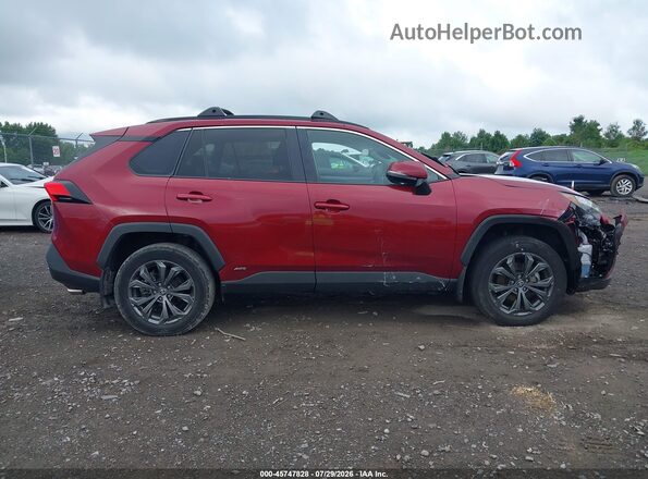2T3B6RFV9RW057658 2024 TOYOTA RAV4 HYBRID Red Widok wnętrza z tyłu