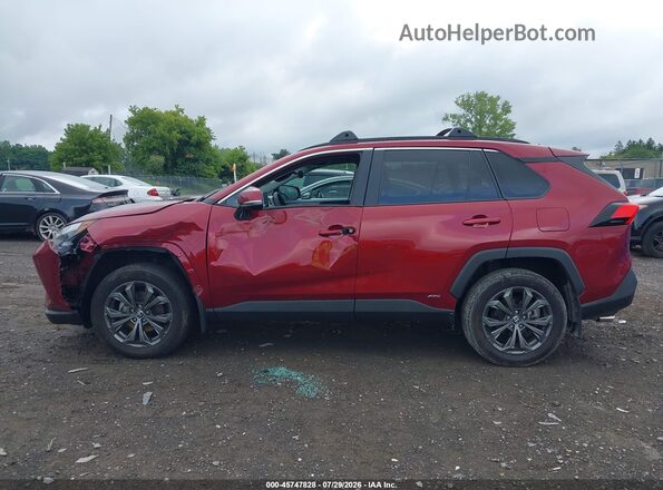 2T3B6RFV9RW057658 2024 TOYOTA RAV4 HYBRID Red Widok wnętrza 360 stopni