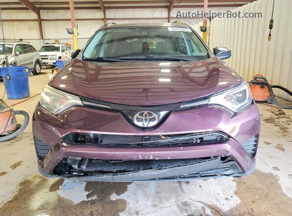 2T3BFREV0HW563153 2017 TOYOTA RAV4 Purple Vista frontal