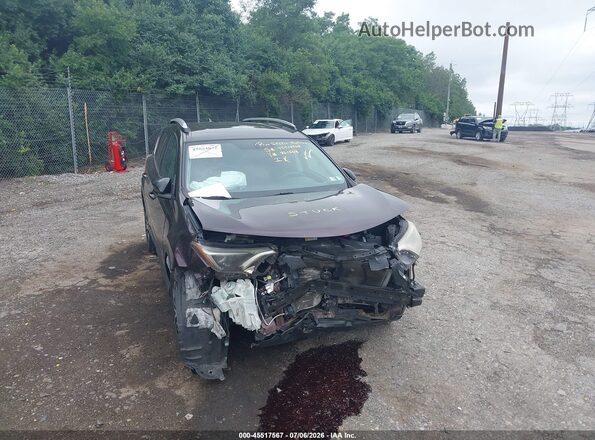 2T3BFREV2GW461562 2016 TOYOTA RAV4 Purple Vista frontal