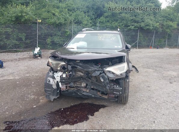 2T3BFREV2GW461562 2016 TOYOTA RAV4 Purple 
