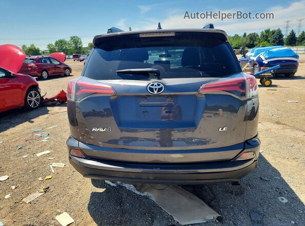 2T3BFREV2GW503969 2016 TOYOTA RAV4 Gray Vista trasera
