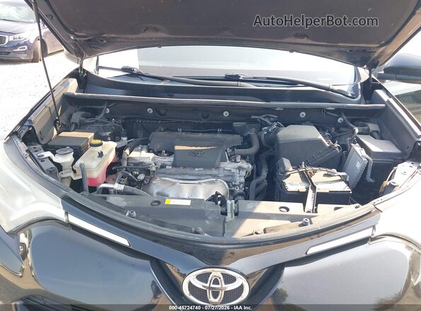 2T3BFREV2GW504815 2016 TOYOTA RAV4 Черный Вид сзади