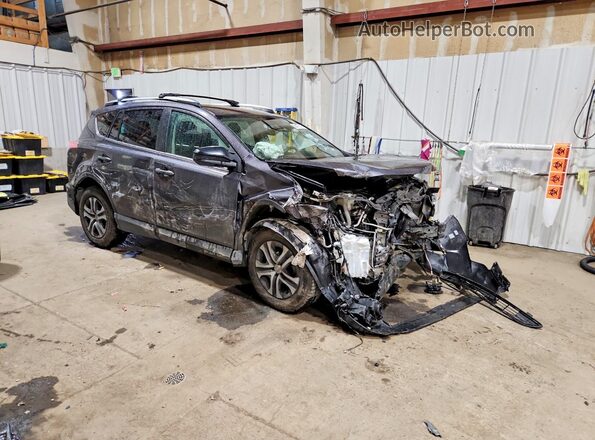 2T3BFREV4HW556030 2017 TOYOTA RAV4 Charcoal Առջևի աջ