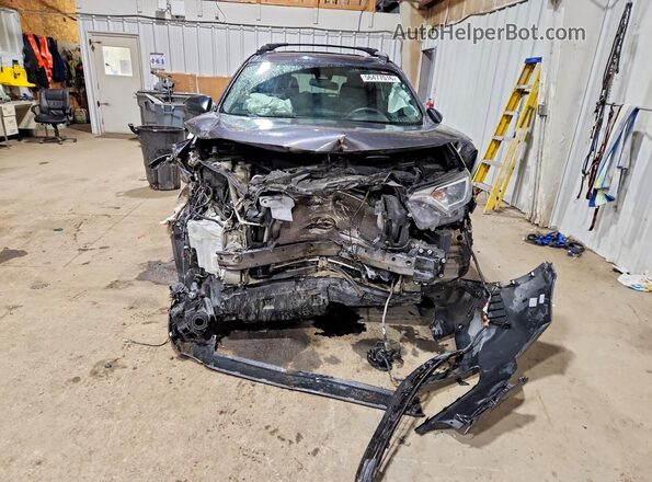 2T3BFREV4HW556030 2017 TOYOTA RAV4 Charcoal Դիմացի տեսք