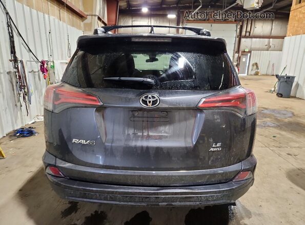 2T3BFREV4HW556030 2017 TOYOTA RAV4 Charcoal Հետևի տեսք