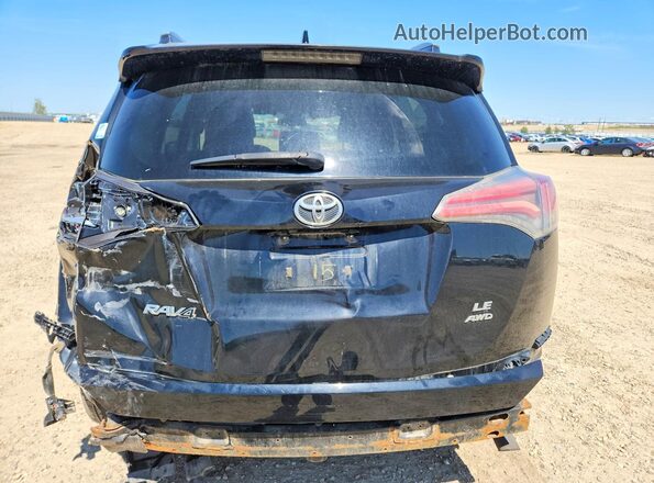 2T3BFREV4HW595992 2017 TOYOTA RAV4 Черный Вид сзади