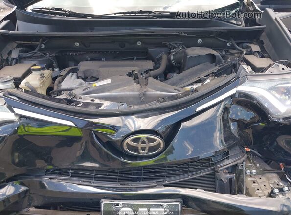 2T3BFREV8HW613250 2017 TOYOTA RAV4 Черный Вид сзади
