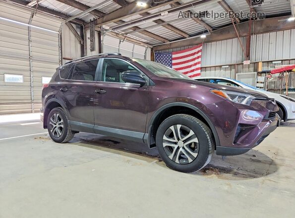 2T3BFREVXHW561393 2017 TOYOTA RAV4 Purple Առջևի աջ