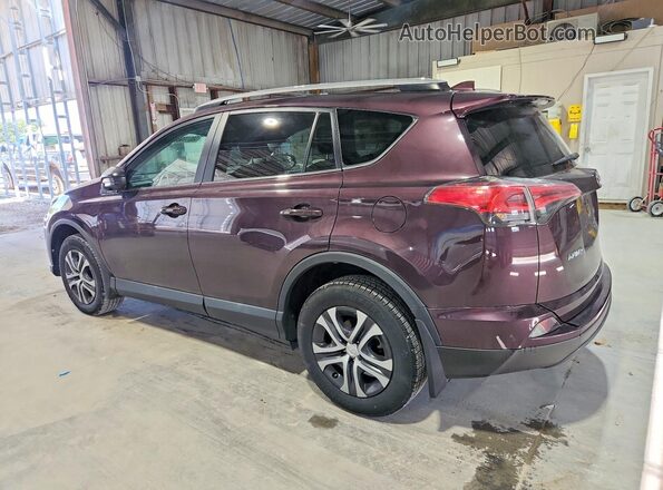 2T3BFREVXHW561393 2017 TOYOTA RAV4 Purple Հետևի ձախ