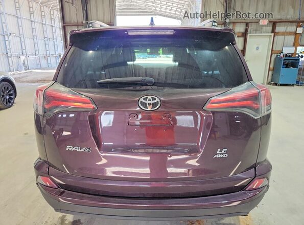 2T3BFREVXHW561393 2017 TOYOTA RAV4 Purple Հետևի տեսք