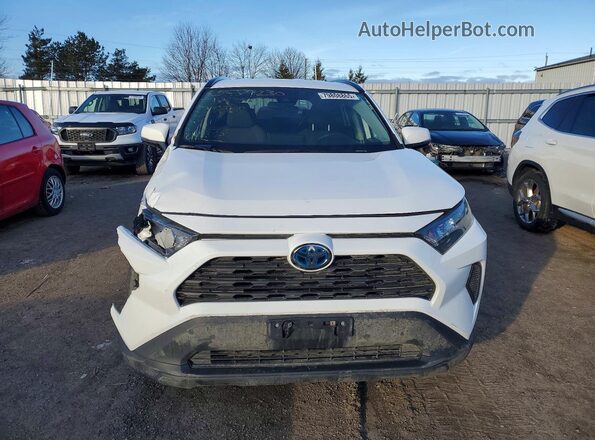 2T3BWRFV7RW230156 2024 TOYOTA RAV4 White Vista frontal