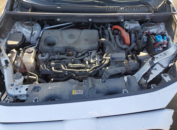 2T3BWRFV9LW084236 2020 TOYOTA RAV4 White Vista interior trasera