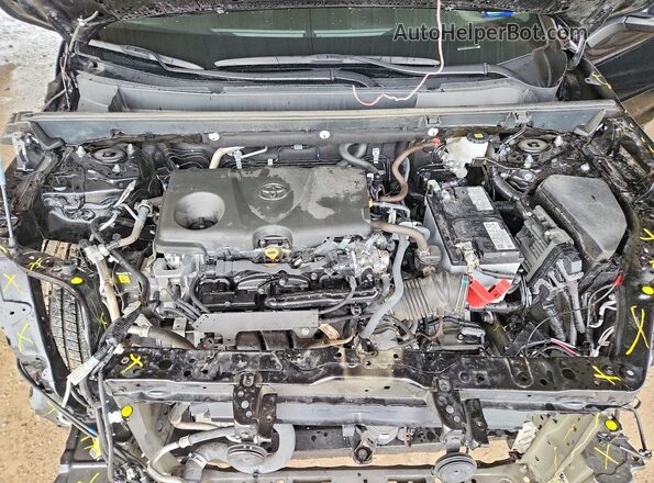 2T3C1RFV0SC347118 2025 TOYOTA RAV4 Black Vista interior trasera
