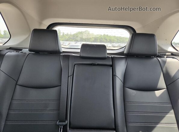 2T3C1RFV6RC293284 2024 TOYOTA RAV4 Black Вид задніх сидінь