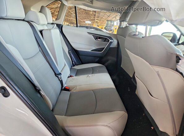 2T3C1RFV6SW431457 2025 TOYOTA RAV4 Белый Вид задней части салона