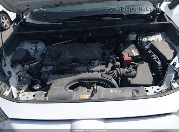 2T3C1RFV7KW035313 2019 TOYOTA RAV4 Белый Вид сзади