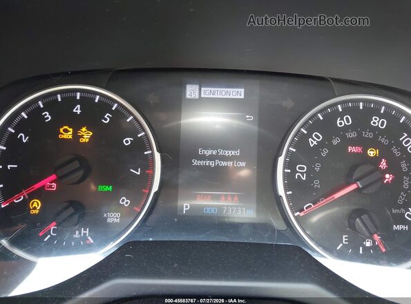 2T3C1RFV9LW098124 2020 TOYOTA RAV4 Gray Հետևի նստատեղերի տեսք
