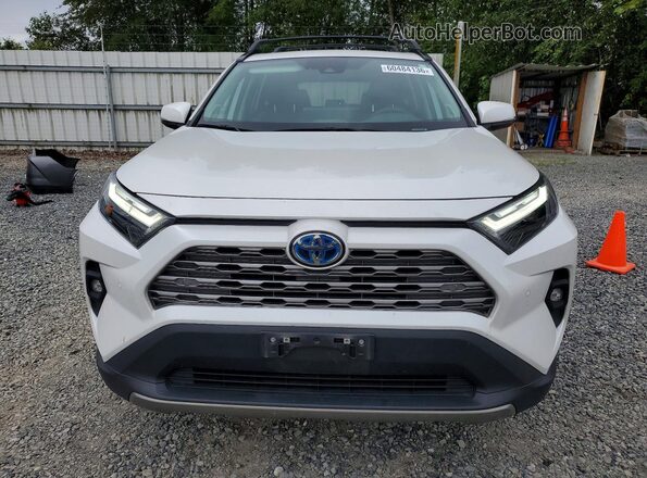 2T3D6RFV2RW057414 2024 TOYOTA RAV4 Белый Вид спереди