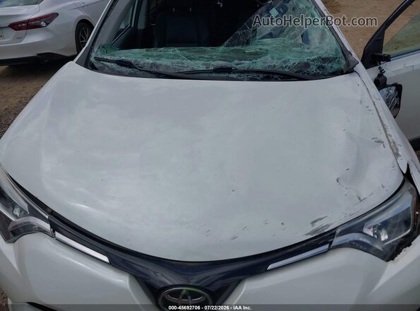 2T3DFREV0HW541940 2017 TOYOTA RAV4 White Vista trasera