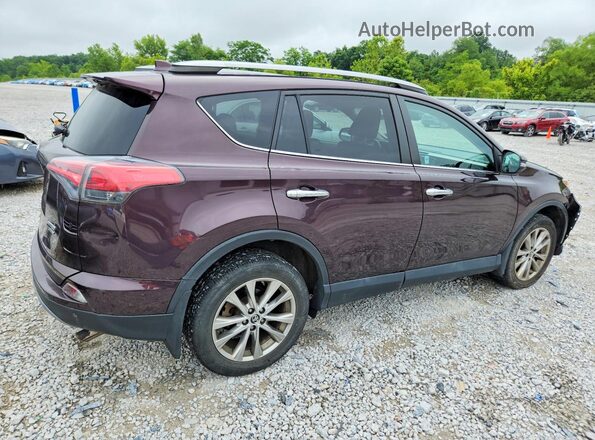 2T3DFREV2HW636936 2017 TOYOTA RAV4 Purple Tył prawy