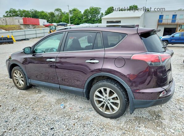 2T3DFREV2HW636936 2017 TOYOTA RAV4 Purple Tył lewy