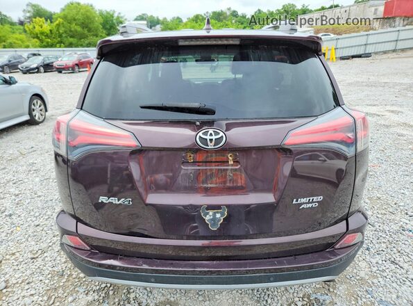 2T3DFREV2HW636936 2017 TOYOTA RAV4 Purple Widok z tyłu
