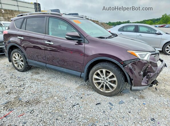 2T3DFREV2HW636936 2017 TOYOTA RAV4 Purple Przód prawy