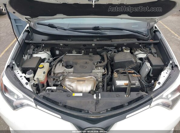 2T3DFREV3GW506047 2016 TOYOTA RAV4 Белый Вид сзади