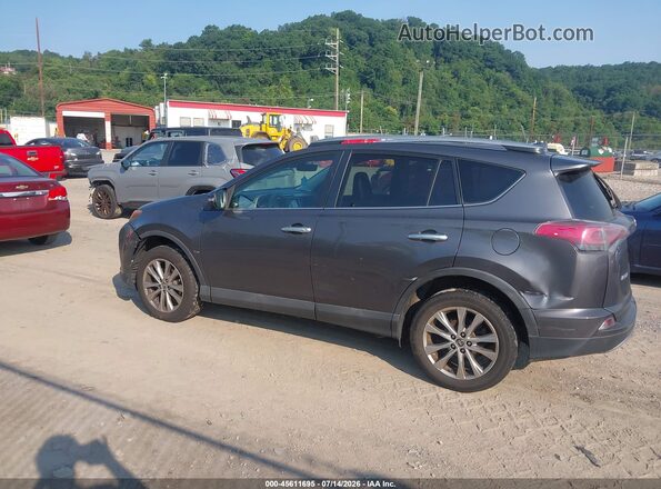 2T3DFREV3HW600222 2017 TOYOTA RAV4 Gray სალონის 360-გრადუსიანი ხედი