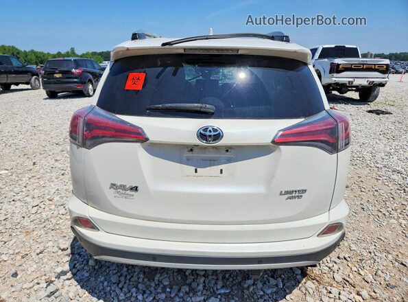 2T3DFREV6GW448872 2016 TOYOTA RAV4 White Rear view