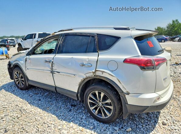 2T3DFREV6GW448872 2016 TOYOTA RAV4 White Rear left