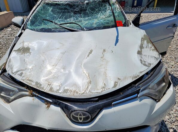 2T3DFREV6GW448872 2016 TOYOTA RAV4 White Engine compartment view
