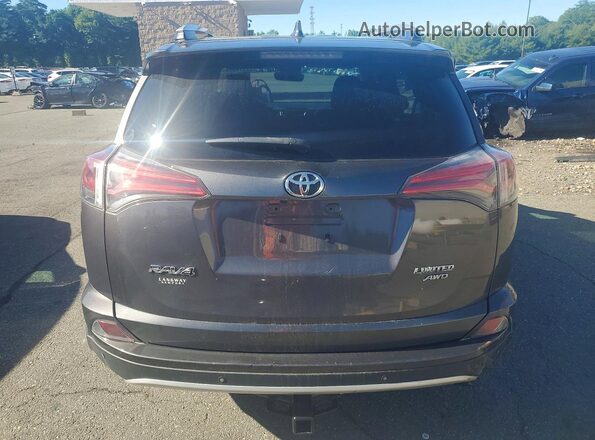 2T3DFREV6GW511520 2016 TOYOTA RAV4 Gray Rear view