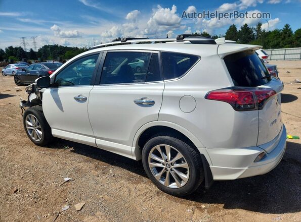 2T3DFREV7HW561800 2017 TOYOTA RAV4 Белый Задняя левая четверть