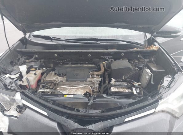 2T3DFREV9HW567484 2017 TOYOTA RAV4 Gray უკანა ხედი
