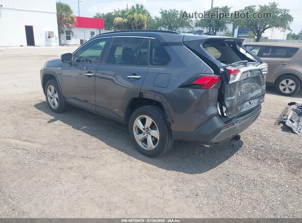 2T3DWRFV1KW029688 2019 TOYOTA RAV4 HYBRID Gray Հետևի ձախ