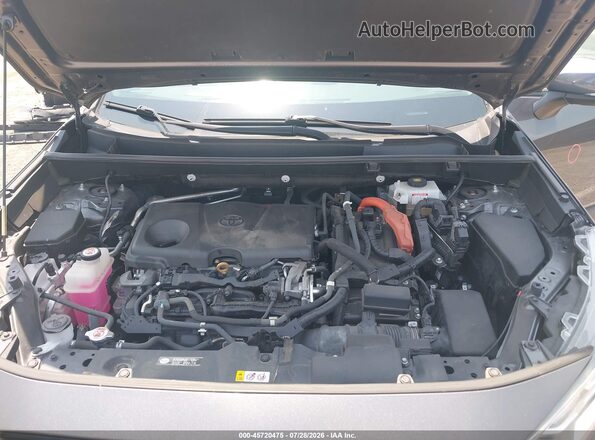 2T3DWRFV1KW029688 2019 TOYOTA RAV4 HYBRID Gray Հետևի տեսք
