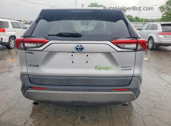 2T3DWRFV7LW056959 2020 TOYOTA RAV4 Silver Rear view