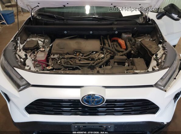 2T3E6RFV3RW064375 2024 TOYOTA RAV4 HYBRID White Rear view