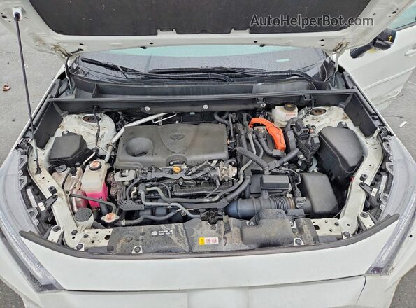 2T3E6RFV6RW064516 2024 TOYOTA RAV4 White უკანა სალონის ხედი