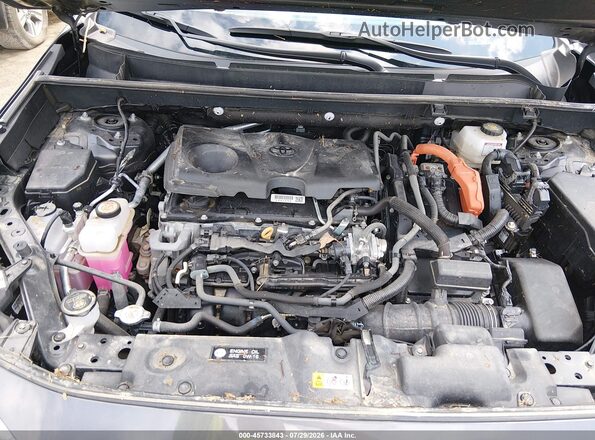 2T3E6RFV8RW049256 2024 TOYOTA RAV4 HYBRID Gray Vista trasera