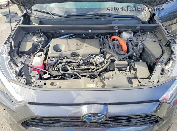 2T3E6RFV9RW077003 2024 TOYOTA RAV4 Gray Вид задньої частини салону